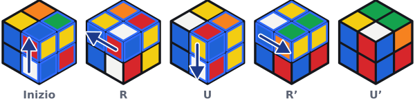 L’angolo bianco, blu e rosso in basso davanti a destra è al suo posto ma girato, con il bianco verso un lato. Un R U R' U' lo porta nello strato superiore; gli altri tre angoli bianchi restano al loro posto.